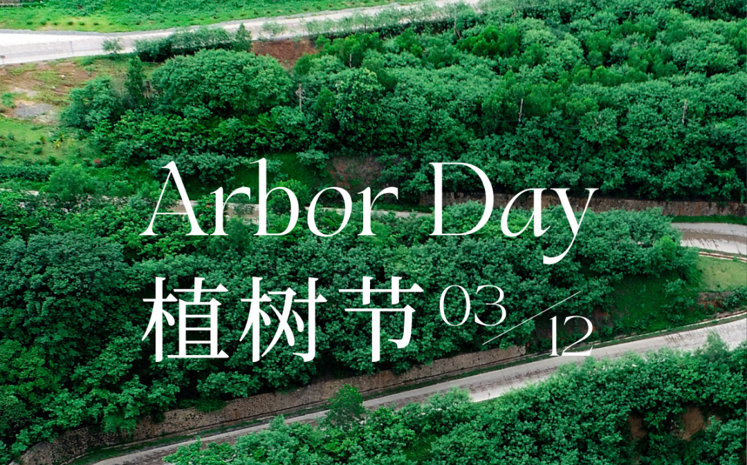 植树节 | 新利在线平台-新利在线官网
的绿色画卷