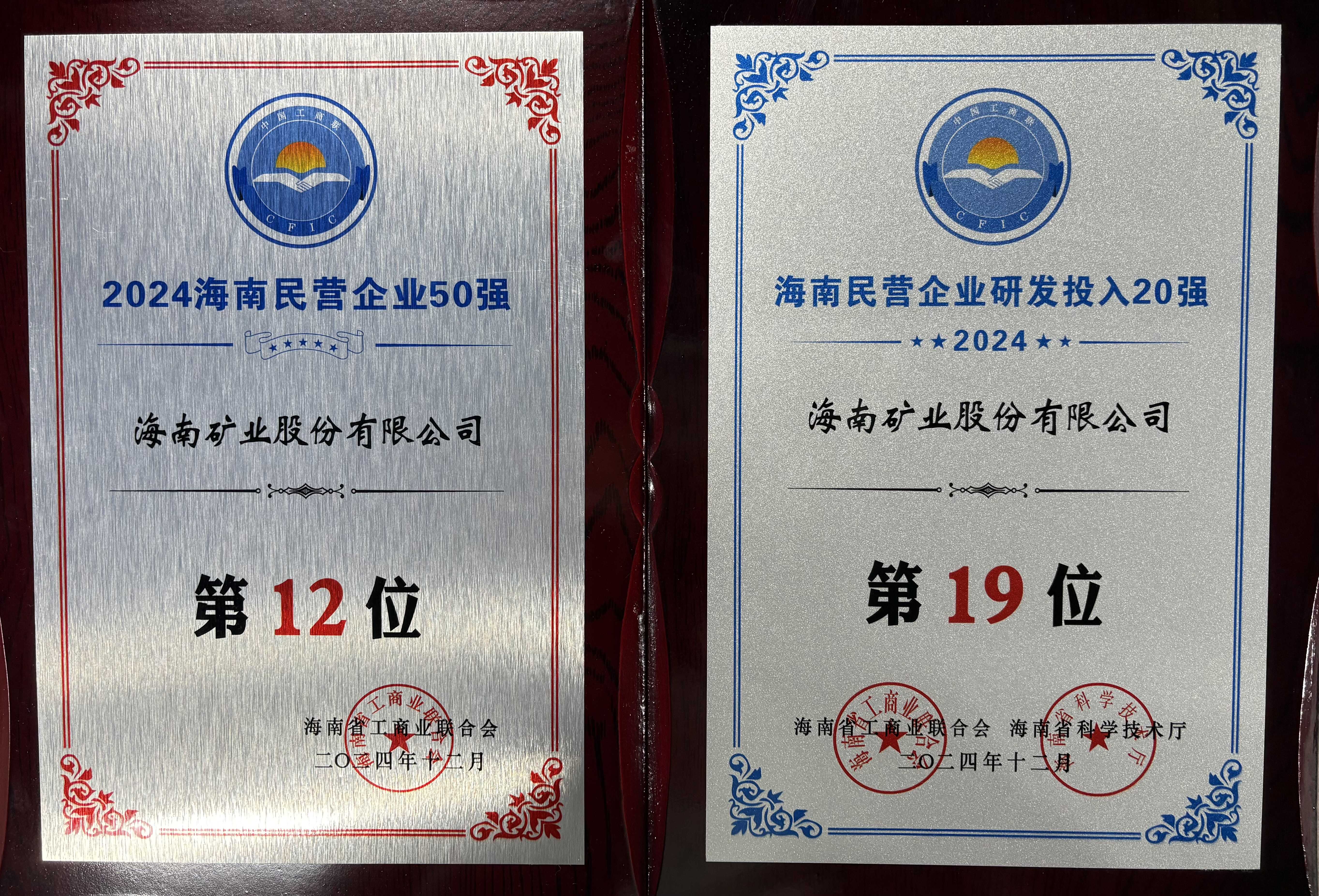 “2024海南民营企业50强”榜单发布 新利在线平台-新利在线官网
位列第12位